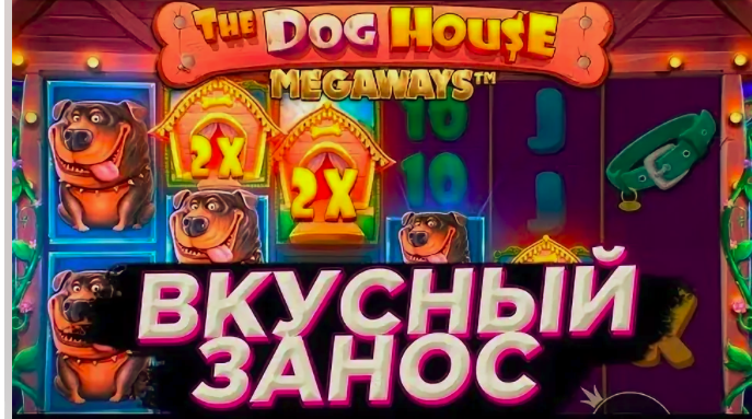 Как купить бонуску в Dog House Megaways